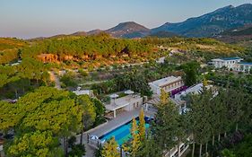 Kairos Valley Wellness & Longevity